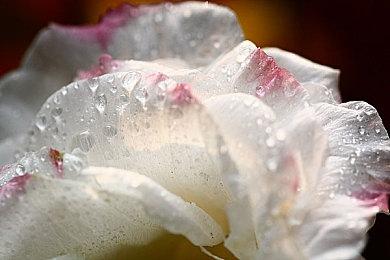 科隆：国产开放世界武侠《燕云十六声》首支预告